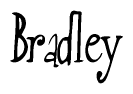 The image is a stylized text or script that reads 'Bradley' in a cursive or calligraphic font.