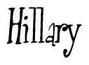 The image is of the word Hillary stylized in a cursive script.