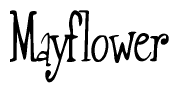 The image is a stylized text or script that reads 'Mayflower' in a cursive or calligraphic font.
