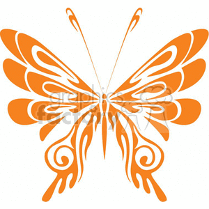 butterfly Orange Design