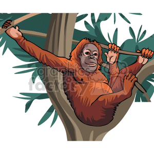 The clipart image depicts an orangutan sitting on a tree branch in a jungle or zoo setting. It has its arms outstretched and a happy-looking face