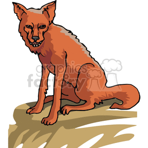 This clipart image depicts a realistic vector illustration of a wild dog, with its head facing towards you. 