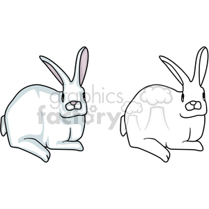 The clipart image features two illustrations of a rabbit. On the left side, there is a colored drawing of a sitting rabbit, featuring shades of white and grey with pink inner ears and a hint of blue for shadowing. On the right side is the black and white line art version of the same rabbit, intended for activities such as coloring.
