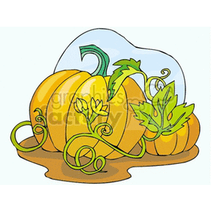 This clipart image features a vibrant illustration of a pumpkin patch. There are multiple pumpkins of various sizes with prominent shades of orange, and the pumpkins are connected to green vines with leaves. Some vines are curled, adding a decorative element to the image. The pumpkins are on a brown patch of ground, implying an agricultural setting, and there's a subtle white and blue background that could represent the sky.