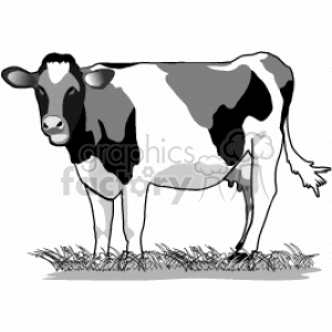 The clipart image depicts a black and white dairy cow with spots, standing on a patch of grass. The cow appears to be in a grazing stance with a calm expression on its face. It is stylized in a simple, graphic manner suitable for a variety of uses.