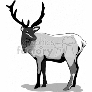 The image showcases a grayscale clipart of a single deer or reindeer with prominent antlers.