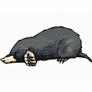 The image depicts a clipart of a sleeping mole. The mole is a small black animal with a snout, tiny eyes, and is shown in a resting position, with its forepaws tucked in close to its body and its claws visible, which are characteristic of the burrowing creature known for its ability to dig. The mole's fur looks soft and its overall posture suggests tranquility and rest.