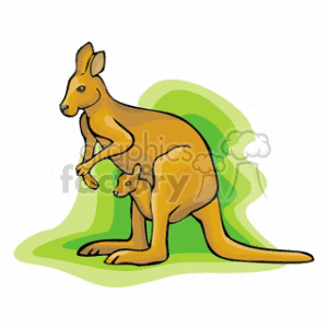 The clipart image depicts an adult kangaroo with a baby kangaroo, also known as a joey, peeking out from its pouch. Both kangaroos are illustrated in a cartoon style, and they are positioned against a simple, stylized green background.