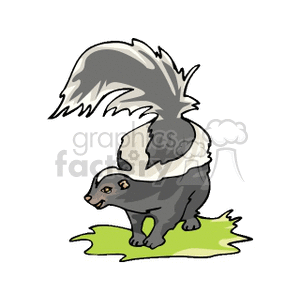The clipart image depicts a cartoon skunk with a pronounced white stripe running down its back and tail. The skunk is standing on a small patch of green, likely indicating grass. There is an emphasis on the stink or smell, which is typically associated with skunks, through the green waves emanating from the skunk, visualizing the odor.