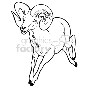 The image depicts a ram with curved horns. It is a black-and-white drawing of the animal, showing its horns, eyes, and ears. The ram is running with its rear legs in the air, mid leap