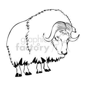 The image is a line drawing of a musk ox, with a large set of horns. The ox is standing on a flat surface 