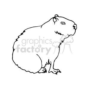 The clipart image shows a line drawing of a woodchuck (or groundhog) standing upright, and looking to the right