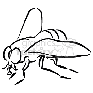 The image is a black and white line drawing of a fly. The characteristics visible are large compound eyes, segmented antennae, and the fly's elongated body with wings and legs, typical of the insect.