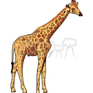This clipart image features a single giraffe standing in profile. The giraffe is depicted with its characteristic long neck, spotted pattern, and horns like ossicones.