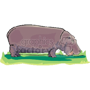 The image is a cartoon-style clipart of a hippopotamus standing on a patch of grass. It shows the hippo in profile view, with its large body, small ears, and large head with eyes and nostrils visible. The hippo appears to be in a calm and relaxed pose.