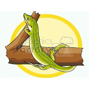 This clipart image depicts two green anole lizards, with one appearing larger and prominently perched on a tree trunk and the other one holding onto the side of the trunk. They are illustrated against a yellow circular backdrop.