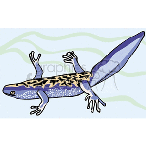 This clipart image features an aquatic salamander swimming. The salamander has a blue body with some purple shading and black with yellow patterned markings. Its limbs are splayed out as if it is swimming against the pale blue background with wavy lines that represent water.