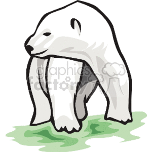 The image is a clipart illustration of a polar bear. The bear is white, which is characteristic of polar bears, and appears to be standing on a patch of green, possibly representing ground or a small area of vegetation. The style is simplified and graphic, typical of clipart images.