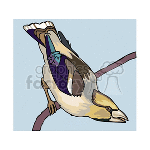 The clipart image features an illustration of a finch, a type of small bird, perched upside down on a branch. The finch has a distinctive plumage with various shades of brown, white, and a hint of violet on its wings.