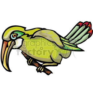 Green Toucan perched on a branch