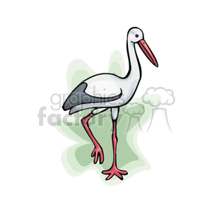 Stork standing on one foot
