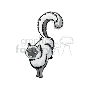 This clipart image features a stylized representation of a cat, possibly a Persian breed given its fluffy appearance. The cat has a bushy tail, long fur, and distinct coloration with darker shades on its face, ears, and tail.
