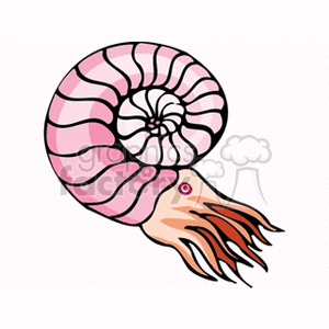 This clipart image features an ammonite, which is an extinct sea creature known for its spiral shell. Ammonites were cephalopods that lived in the seas between 240 - 65 million years ago, alongside dinosaurs. The image shows the ammonite with its shell in prominent view and its tentacles visible at the front.