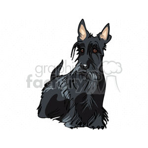 The clipart image depicts a Scottish Terrier, a breed of dog known for its distinctive shape and size. The Scottish Terrier is characterized by its erect ears, bushy eyebrows, and beard. It's sitting and appears to be looking towards the viewer, showcasing its shaggy coat and compact build typical of the breed.