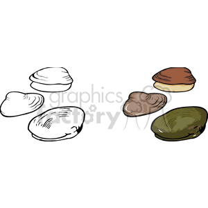 The clipart image features a variety of clam and oyster shells. There are four shells in total, with two appearing in outline and grayscale on the left, while the two on the right show more detailed coloring.