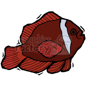The clipart image depicts a stylized tropical fish. It features a fish with a prominent body and fins, rendered in shades of red with white and grey accents on its face and body. This kind of image might be used for educational materials, children's books, or as a decorative graphic related to marine life, aquariums, or themes of biodiversity.