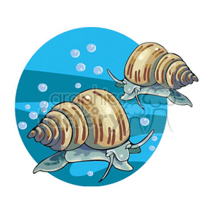 The clipart image shows two snails underwater. There are bubbles around the snails, indicating they are submerged. However, no fish are visible in this image.