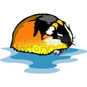 The clipart image features a guinea pig, which is a type of rodent. The guinea pig has a multicolored coat with patches of yellow, black, and white fur. 
