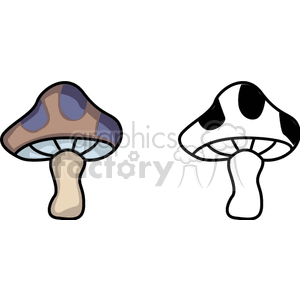 two spotted mushrooms