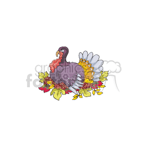 The image depicts a colorful cartoon turkey with a full plumage displayed, most likely representing Thanksgiving. There are autumn leaves scattered around it, which enhances the holiday theme.
