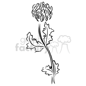 The image is a black-and-white line art illustration of a flower with a round, full bloom on a stem with leaves. The details in the petals suggest a dense, possibly layered pattern typical of certain ornamental flowers.