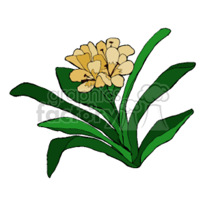 The clipart image depicts a group of yellow flowers that could represent a stylized version of the Kaffir Lily, also known as Clivia miniata, with several long, dark green leaves extending from its base.