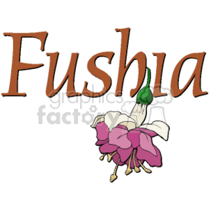 The clipart image features a stylized representation of a fuchsia flower. The word Fushia is displayed prominently above the flower illustration, which seems to be a misspelling of Fuchsia. The flower depicted is pink and purple with some greenery that might represent the sepals and leaves.