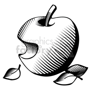 The clipart image depicts a stylized black and white drawing of an apple with a bite taken out of it. The apple has a prominent stem and two leaves attached to it. There are hatching lines across the apple to give it texture and depth.