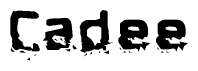 The image contains the word Cadee in a stylized font with a static looking effect at the bottom of the words
