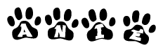 The image shows a series of animal paw prints arranged in a horizontal line. Each paw print contains a letter, and together they spell out the word Anie.
