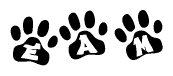 The image shows a series of animal paw prints arranged in a horizontal line. Each paw print contains a letter, and together they spell out the word Eam.