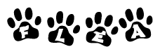 The image shows a row of animal paw prints, each containing a letter. The letters spell out the word Flea within the paw prints.