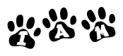 The image shows a row of animal paw prints, each containing a letter. The letters spell out the word Iam within the paw prints.