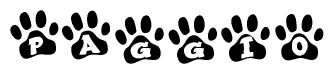 The image shows a series of animal paw prints arranged in a horizontal line. Each paw print contains a letter, and together they spell out the word Paggio.