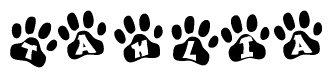 The image shows a series of animal paw prints arranged horizontally. Within each paw print, there's a letter; together they spell Tahlia