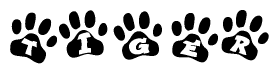 The image shows a row of animal paw prints, each containing a letter. The letters spell out the word Tiger within the paw prints.