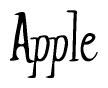 The image is of the word Apple stylized in a cursive script.