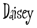 The image is of the word Daisey stylized in a cursive script.