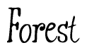 The image contains the word 'Forest' written in a cursive, stylized font.
