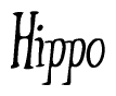 The image contains the word 'Hippo' written in a cursive, stylized font.